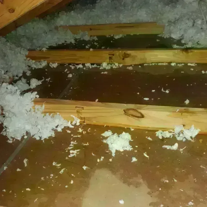 Attic Water Damage in Fort Carson, CO